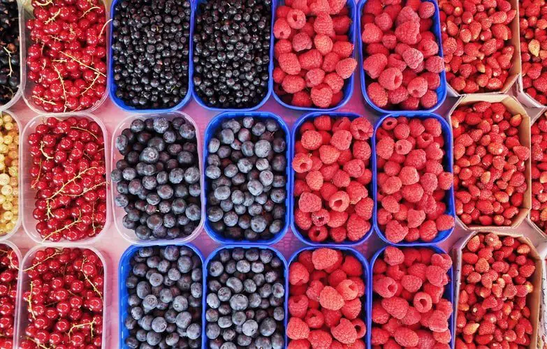 Do Berries Help You Lose Weight