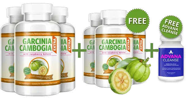 Garcinia Cambogia Supplements