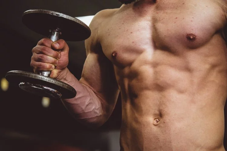 Should I Burn Fat Or Build Muscle First?