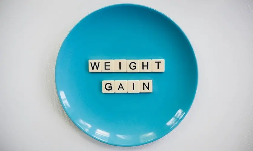 Do You Gain Weight Immediately After Eating