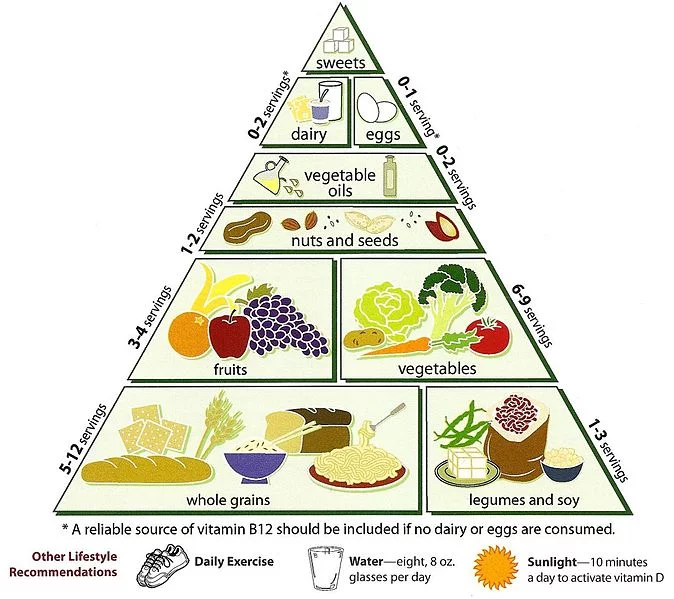 What is a Food Pyramid